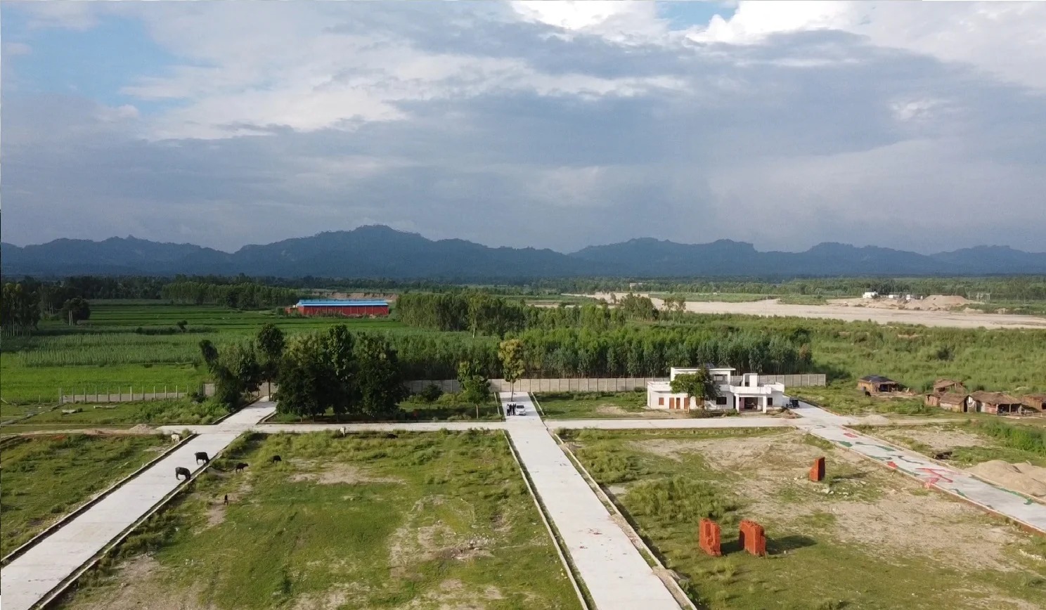 Why Buying a Plot Is Better Than Buying a Flat in 2025